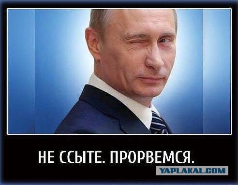 Путин не поедет на сессию Генеральной Ассамблеи ООН