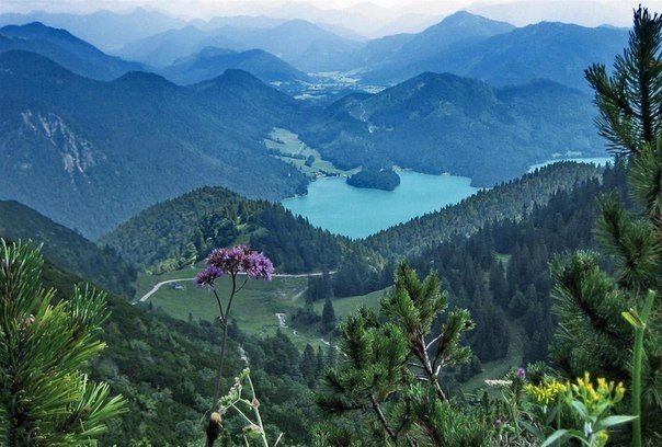 Моменты, запечатлённые на фото и просто позитив 5