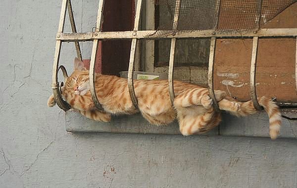 Всякие разные картинки