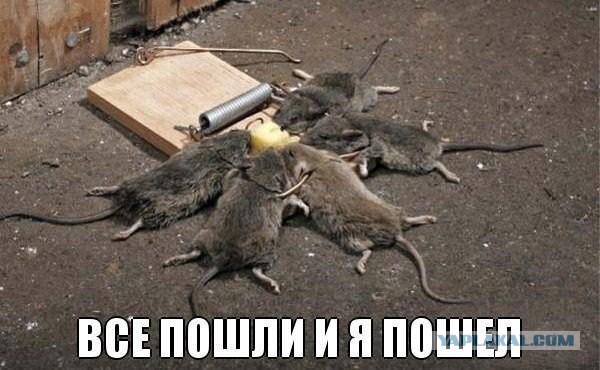 Мышонок и мать