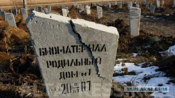 Фото со страницы вконтакте главного "героя" сегодняшнего дня