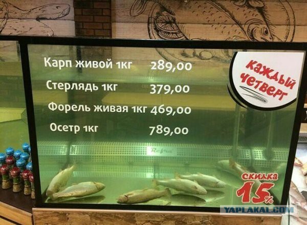 Подборка интересных и веселых картинок