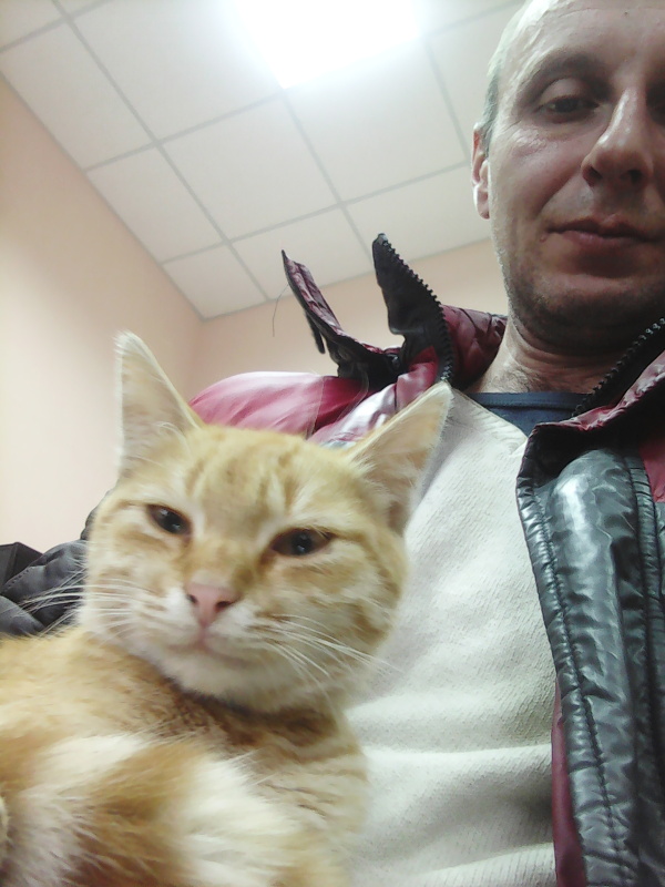 Котовторник  14.11.2017