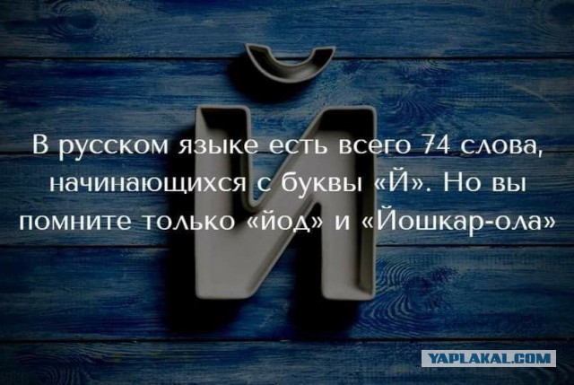 Смешные комментарии из социальных сетей 08.12.2017