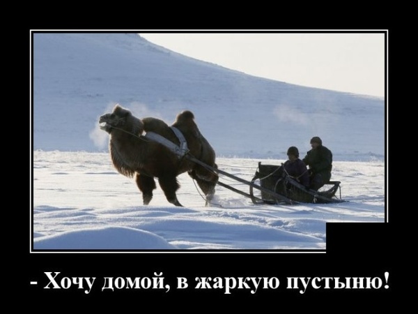Подборка интересных и веселых картинок