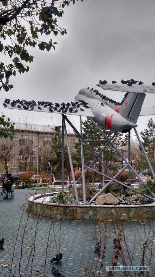 Картинок пост