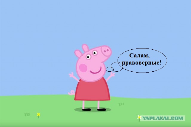 Мусульманин против ручки с поросёнком