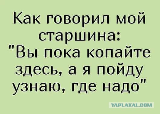 Смешные комментарии из социальных сетей 23.11.2018