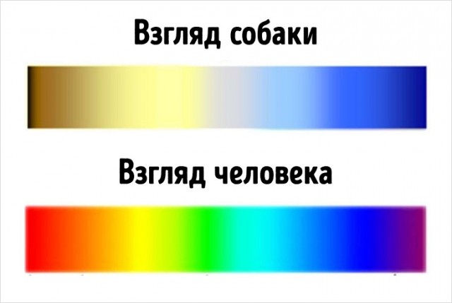 Вещи, которые по-настоящему познаются только в сравнении
