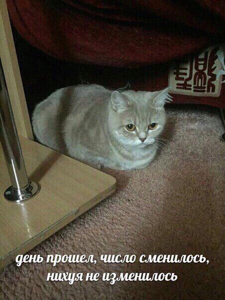 Сверхмассивный огненный астероид летит к Земле и уже 10 марта гигант сожжёт планету