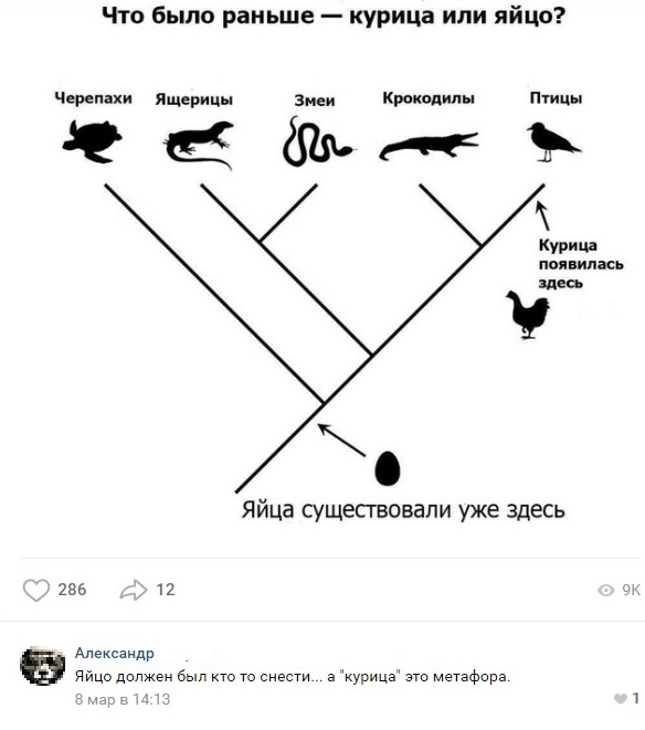 Соц-сети, анекдоты и картинки с надписями