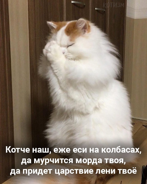 Главная молитва котизма