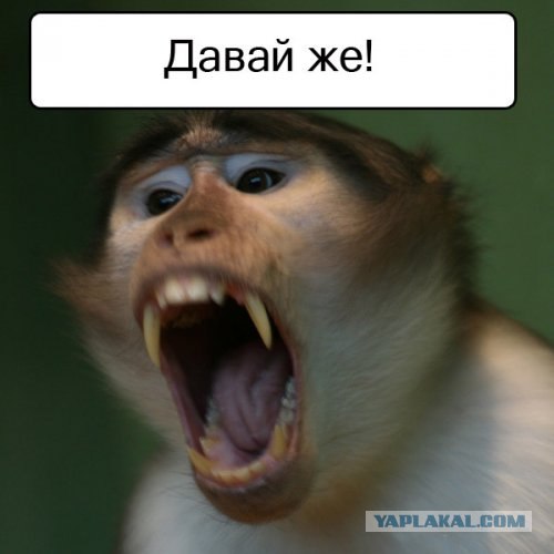 Спорим, зевнешь?))) (28 фото)