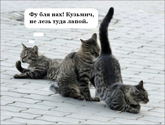 Подпиши фото!