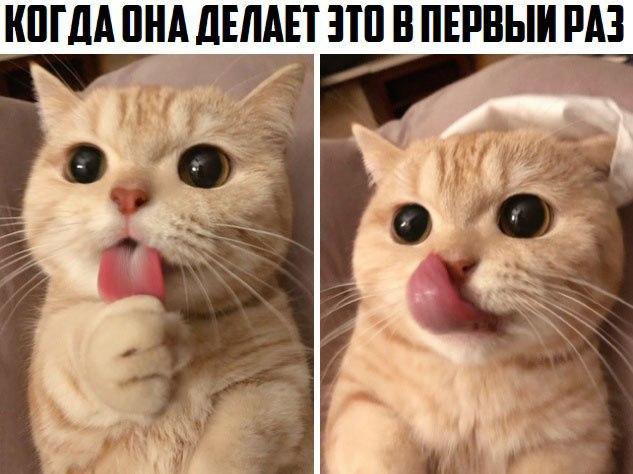 Очень пошлые картинки про это.18+