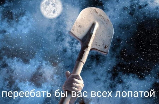 Скотсети и прочие интернеты 16.11.2020