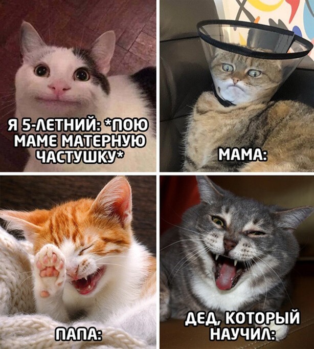 Картинки и мемы для настроения