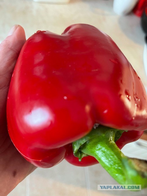 #ДРКулинарии2021! Чили кон карне.