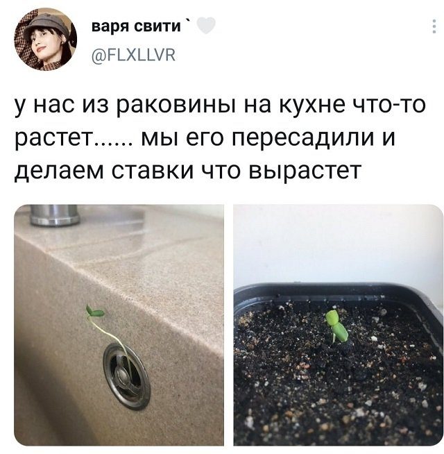 Картинки и мемы для настроения 017