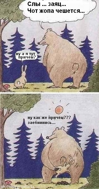 Вместо щётки - ёжик