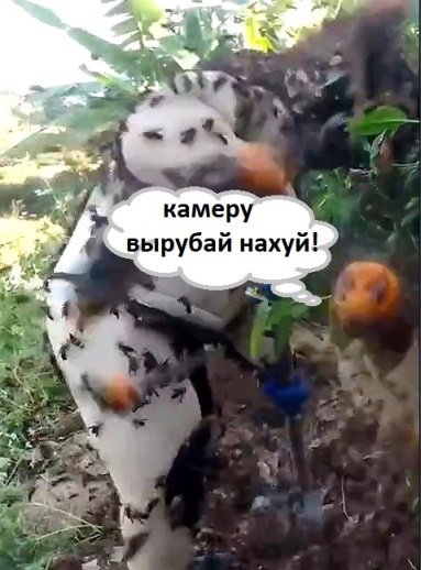 Танк рейдит гнездо шершней