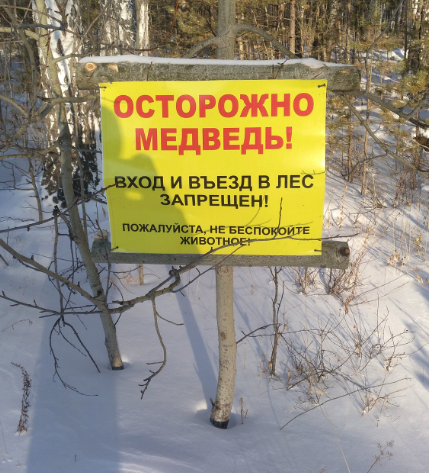 Медведя, который вчера загрыз человека в природном парке "Ергаки" в Красноярском крае, убили.
