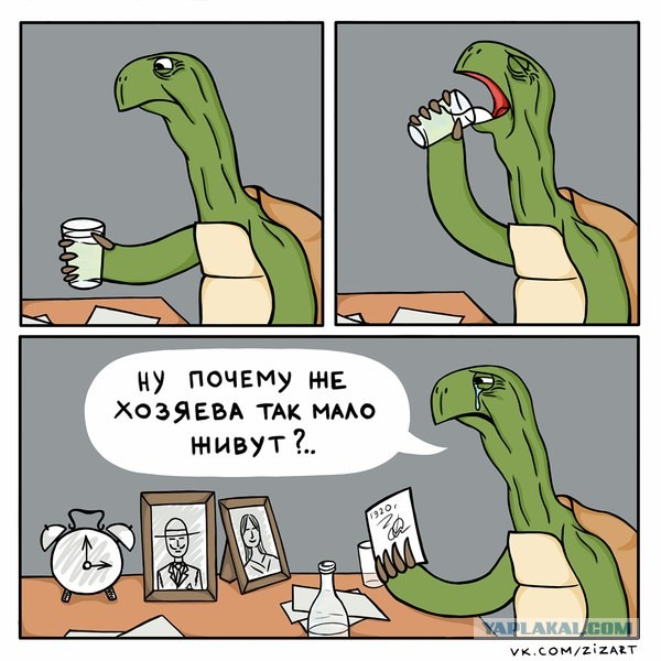 15 картинок сарказма