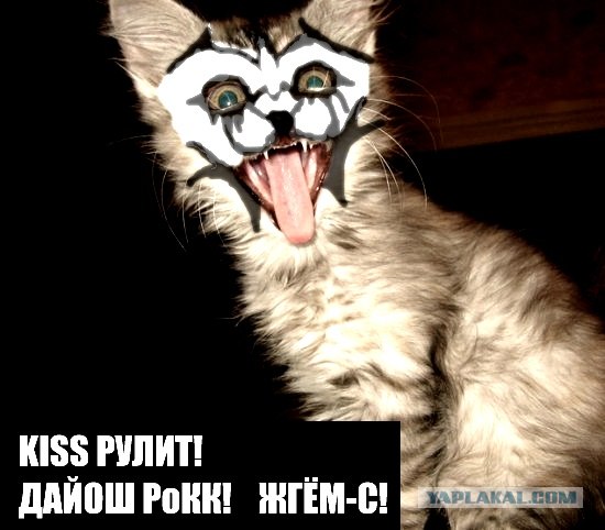Что слушают ЯПовцы