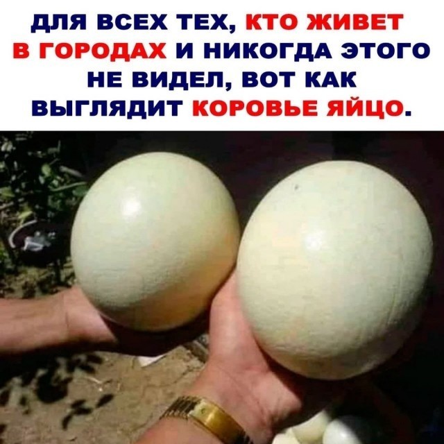 Четверг, а значит пора начинать деградировать...