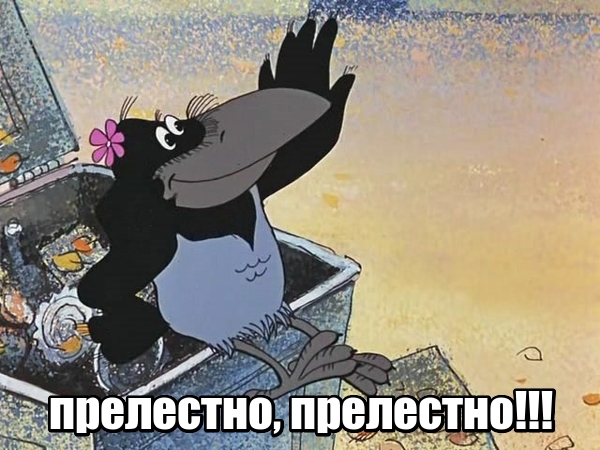 Школьник из Подмосковья cоздал устройство, которое обучает ворон сортировать мусор