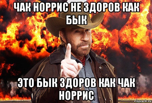 Прикольные картинки на сколько крут Чак Норис