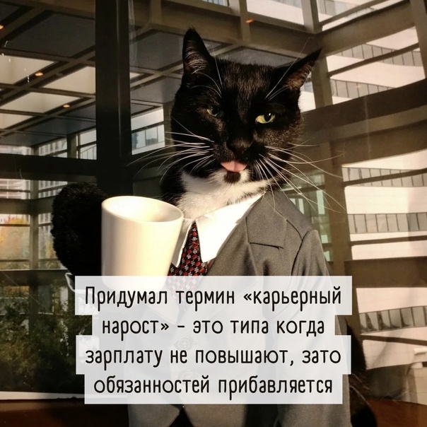 Весёлый полтишок 14.04.22