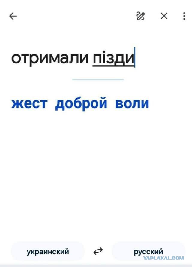 На Змеином опять что то намечается