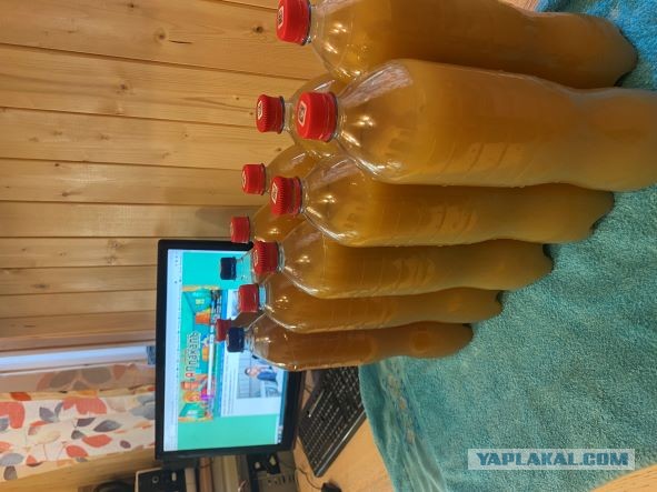 Сидр, от начала до продукта!