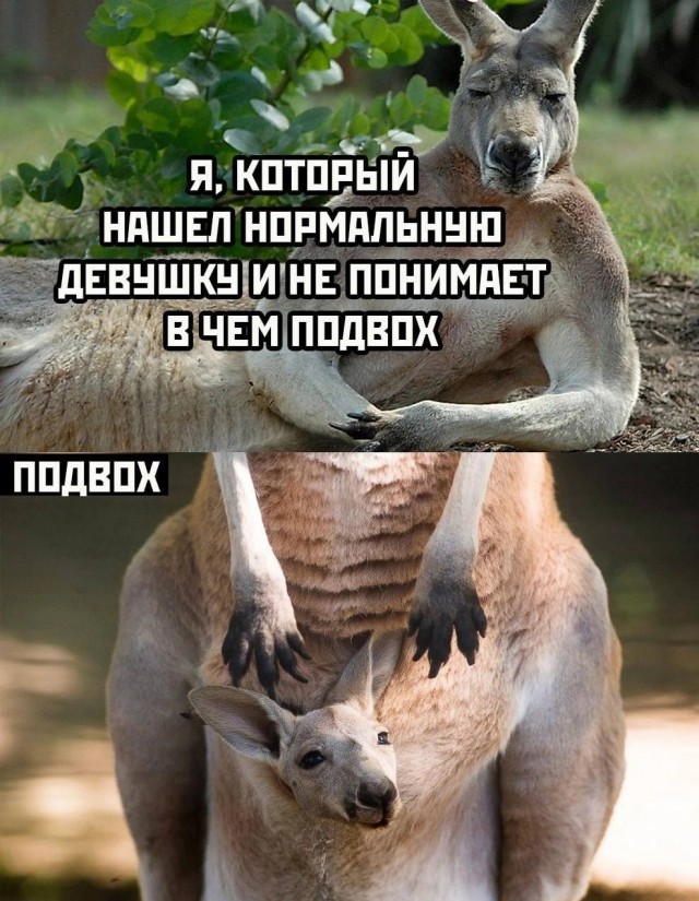 Немного картинок для настроения - 125