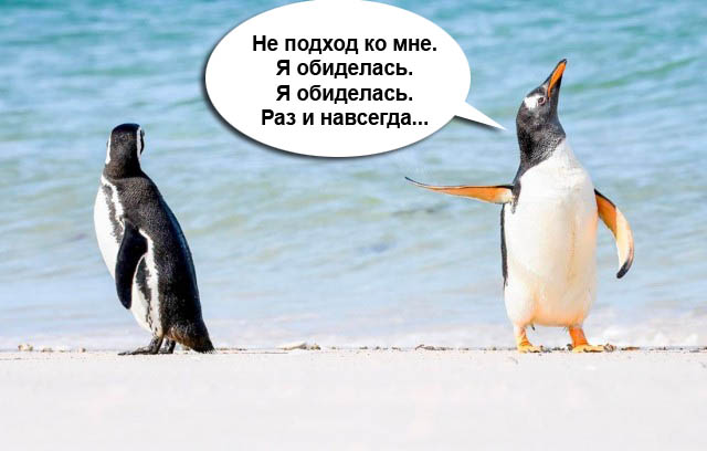 Объявлены победители премии Комедийной фотографии дикой природы-2022