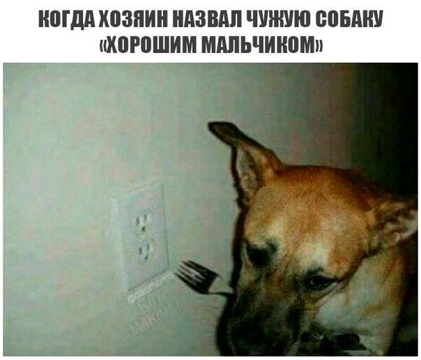 Забавные комментарии из социальных сетей 26.12.22