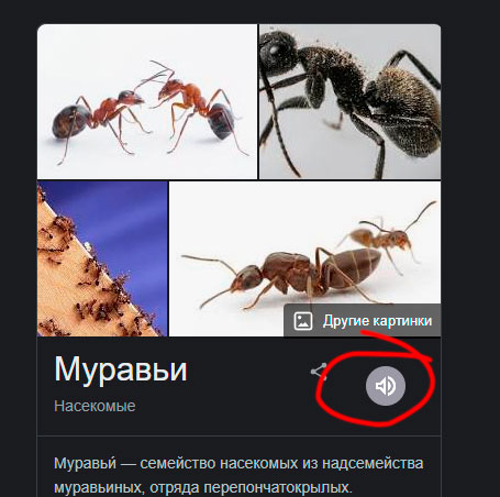 Новая пасхалка от Google