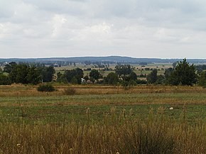 Барбара Брыльска заявила, что русские живут в нищете