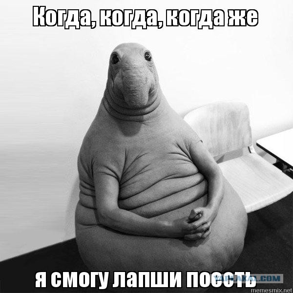 Песков заявил, что сегодня в 15:00 будет выступать Путин