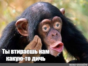 Картинки и мемы, всем хороших выходных