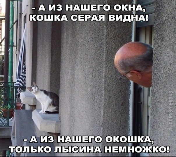 Картинки и мемы, это май-чародей всяко разно - 177