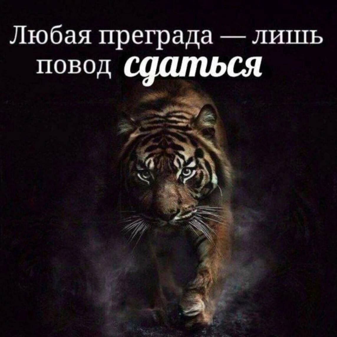 18248397.jpg
