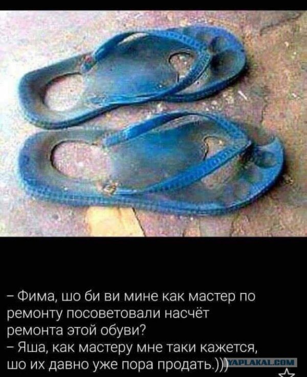 Мой любимый анекдот