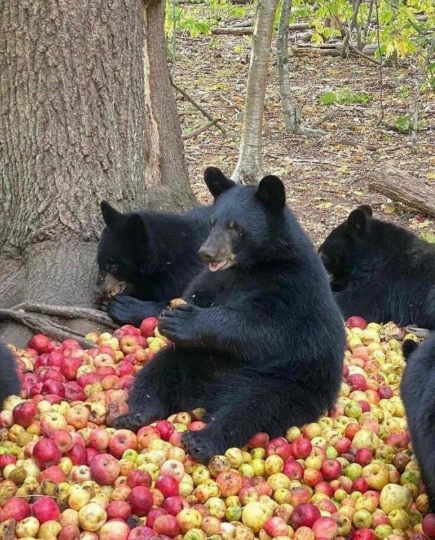Разное
