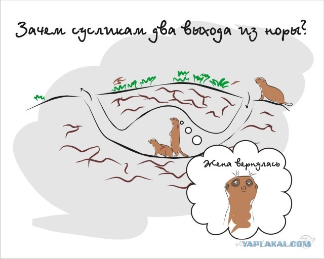 Любовный треугольник