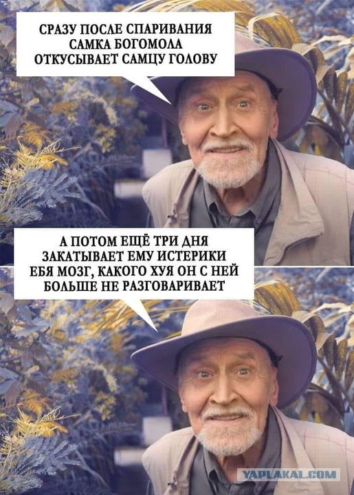 Картинки и буквы 24.06.2024