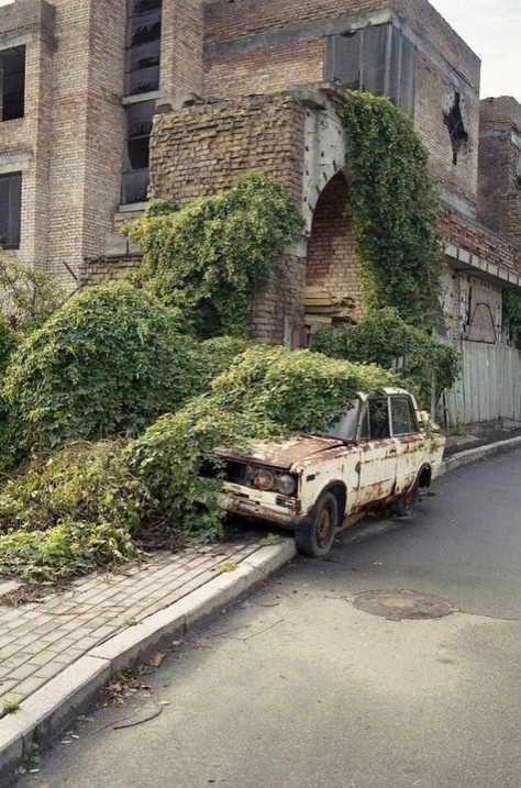 Нуштош 29.07.2024
