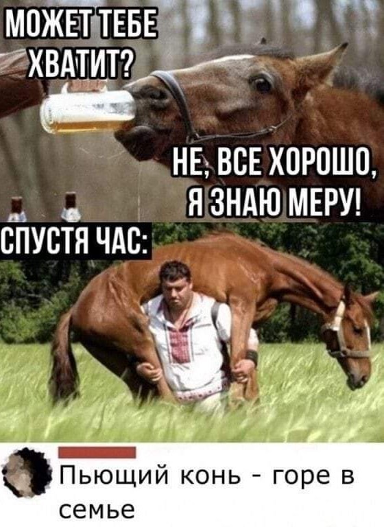 Весёлый полтишок 19.09.24