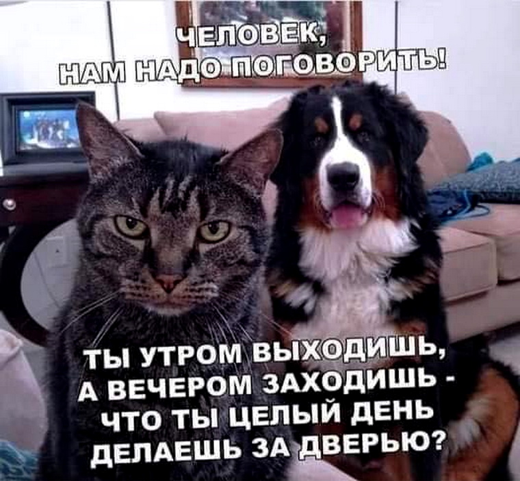 Завалялось тут случайно немного забавных картинок